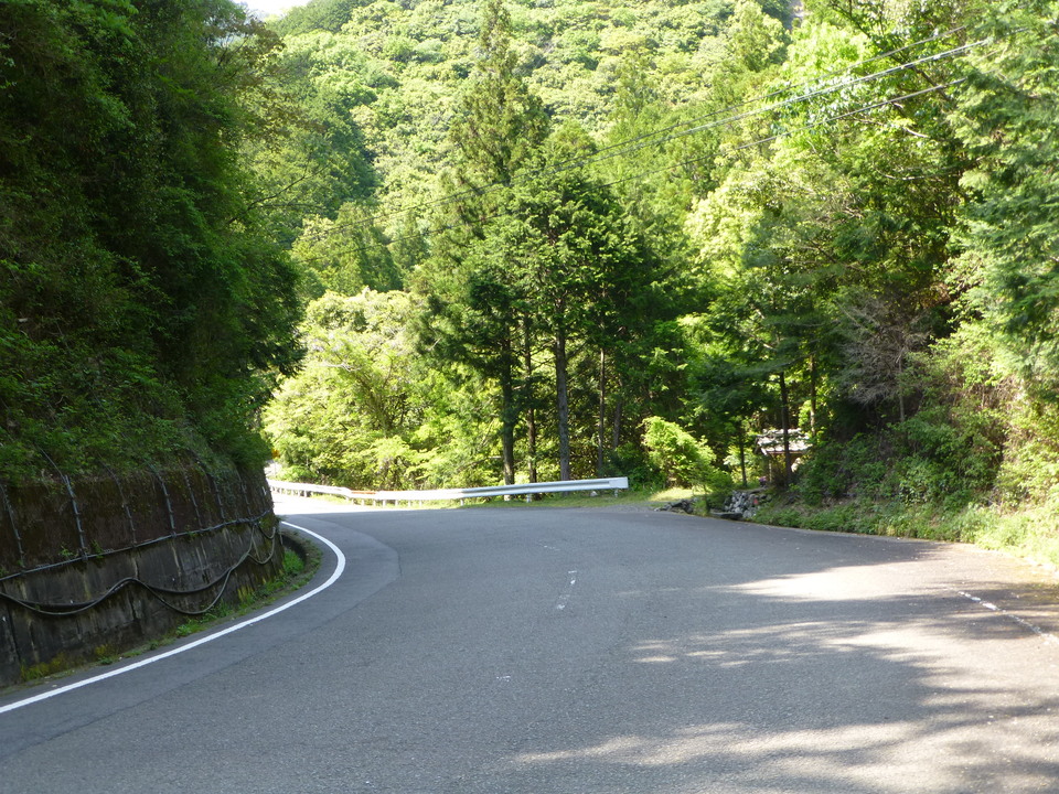 P1050649_mid.jpg
