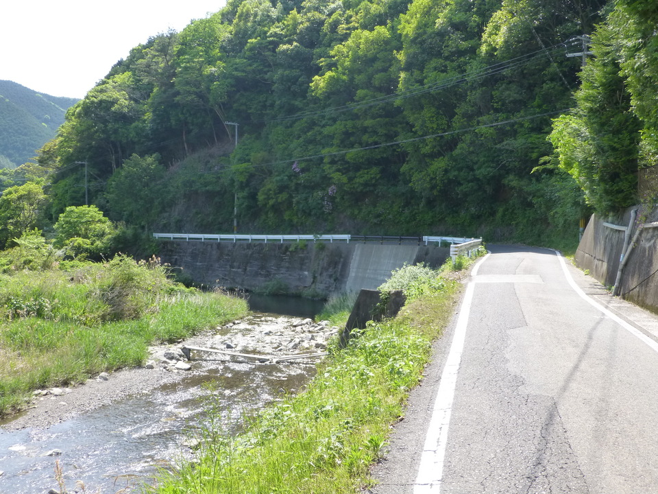P1050652_mid.jpg