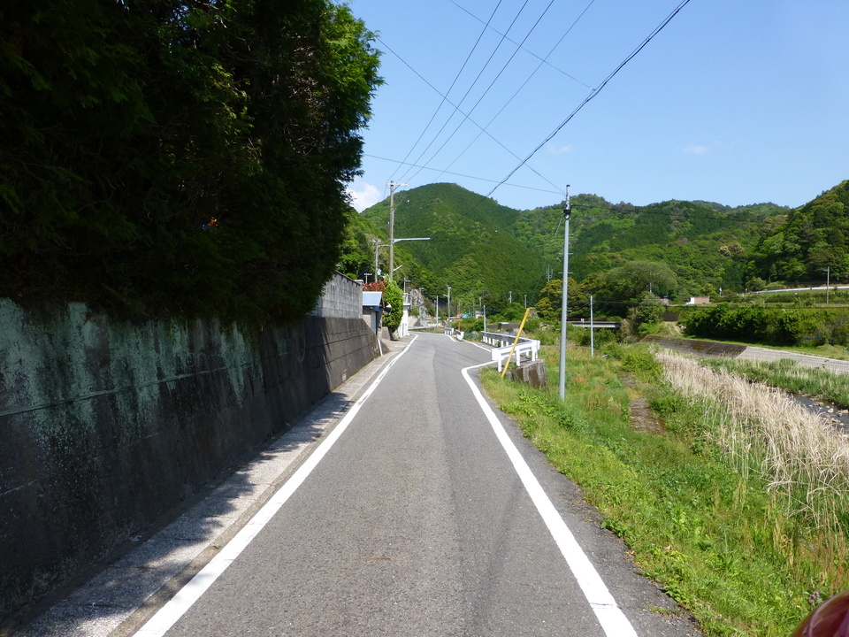 P1050653_mid.jpg