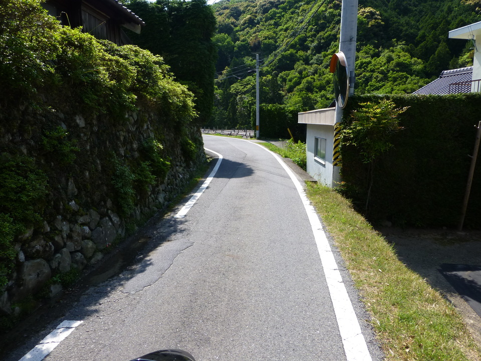 P1050654_mid.jpg