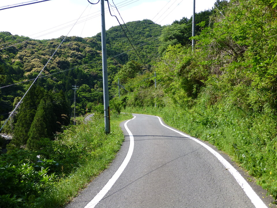 P1050660_mid.jpg