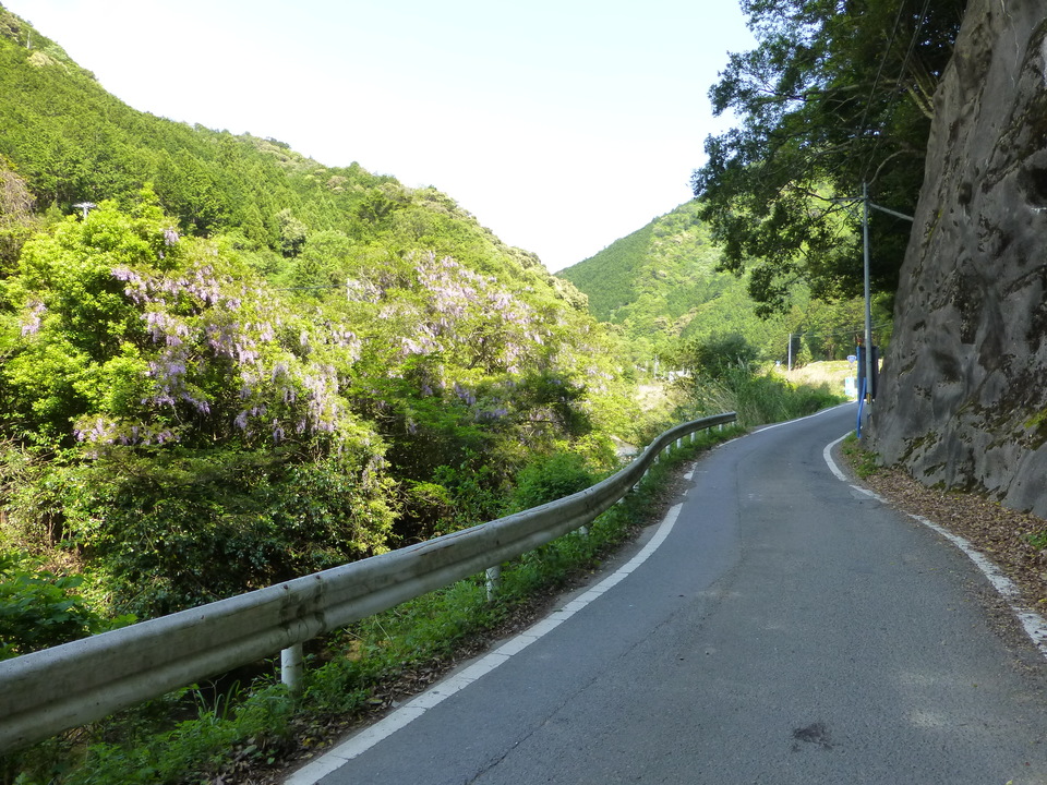 P1050664_mid.jpg