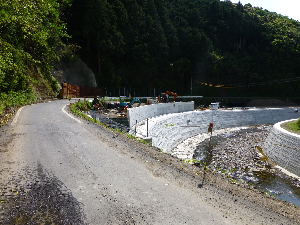 P1050665_mid.jpg