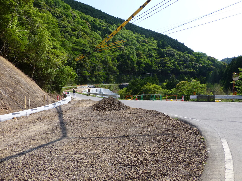 P1050667_mid.jpg