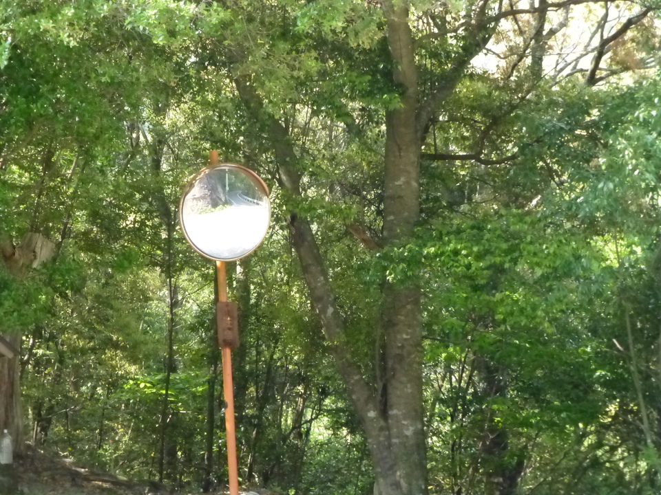 P1050670_mid.jpg
