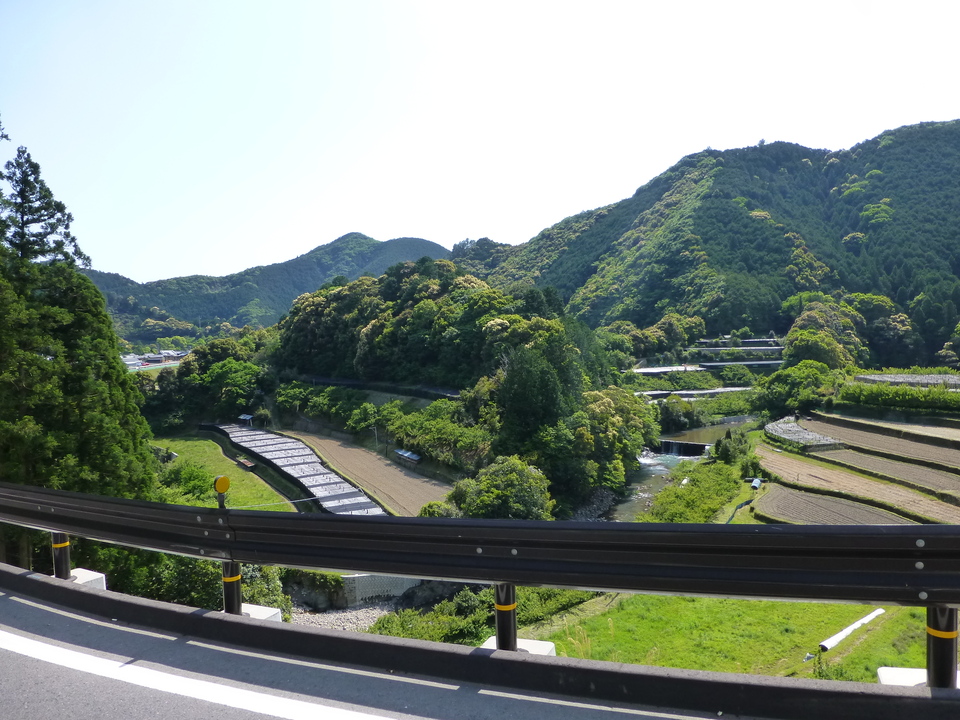 P1050676_mid.jpg