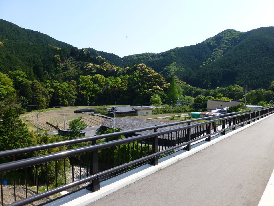 P1050680_mid.jpg