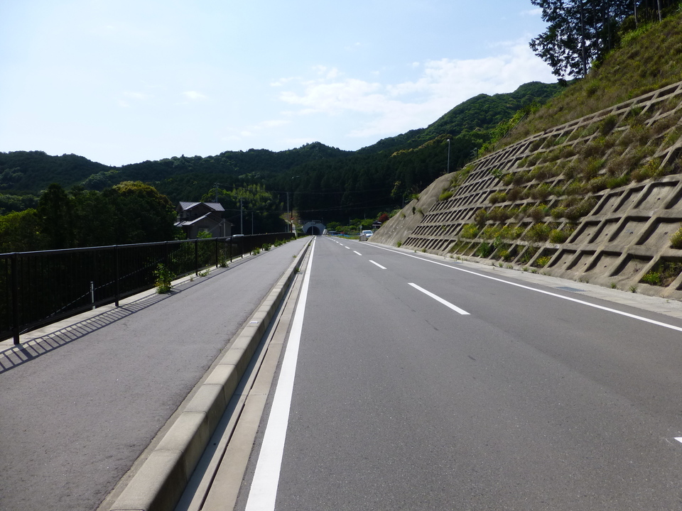 P1050681_mid.jpg