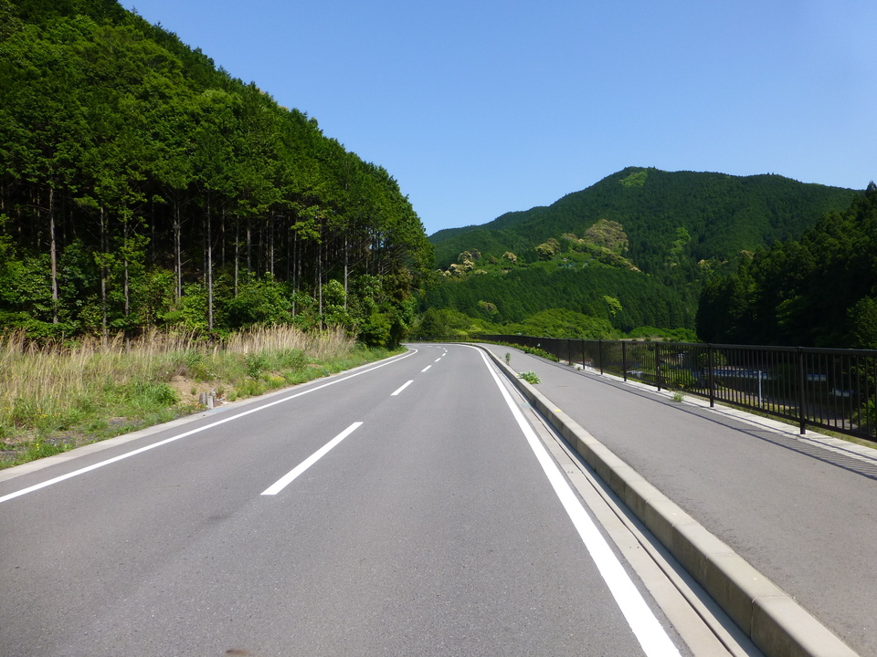 P1050682_mid.jpg