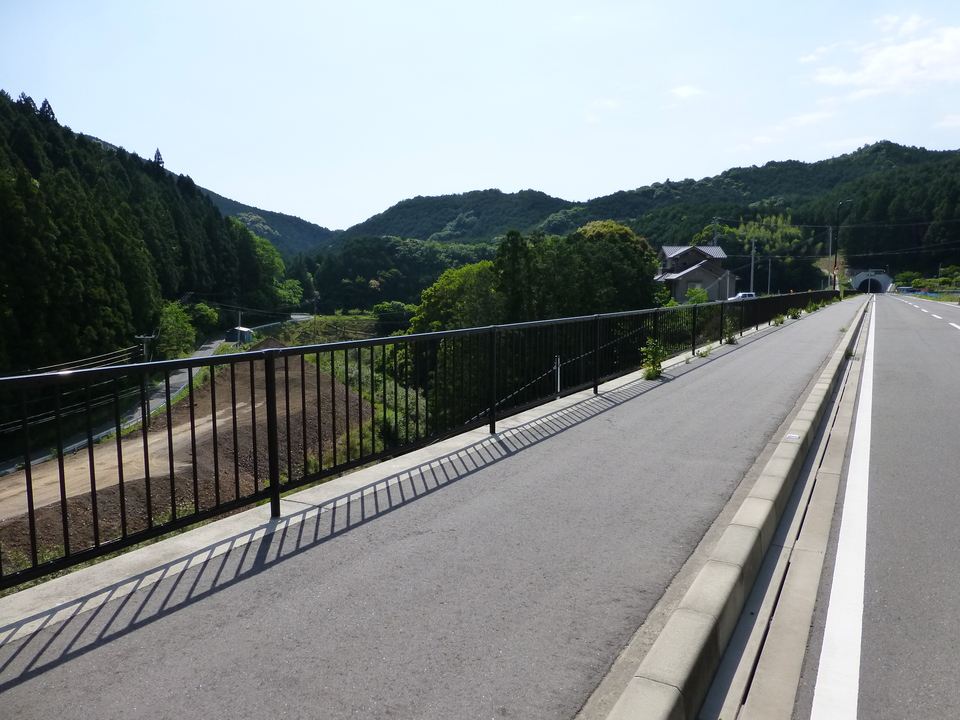 P1050684_mid.jpg