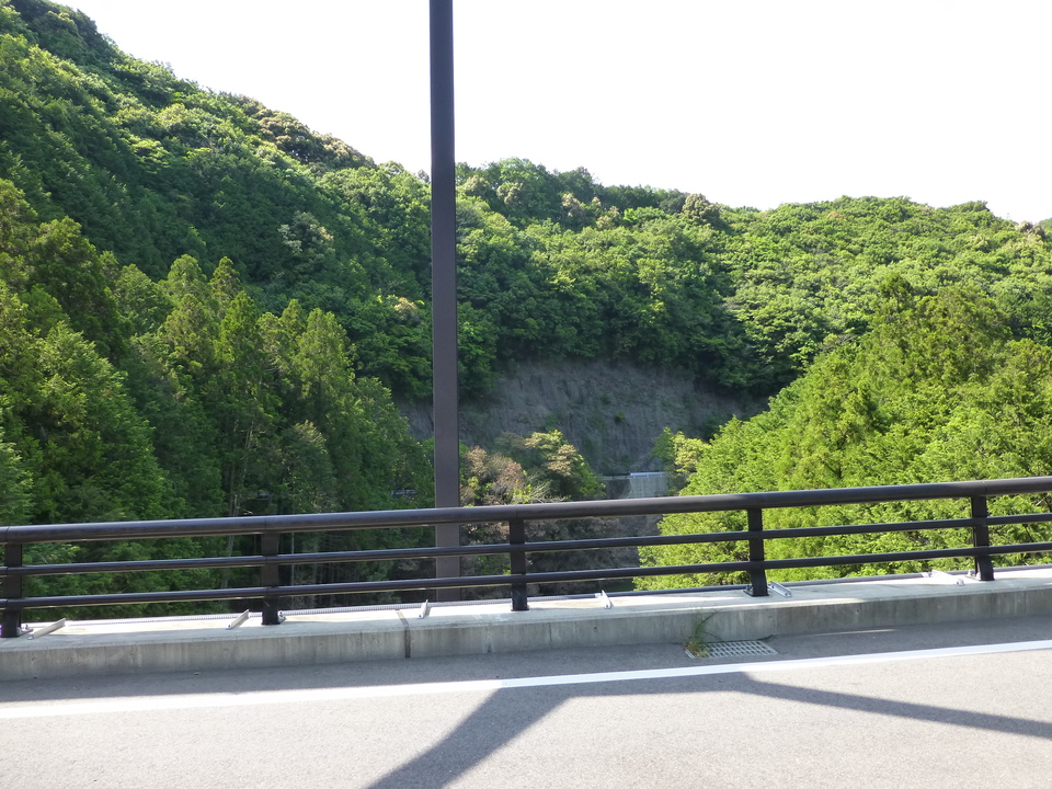 P1050688_mid.jpg