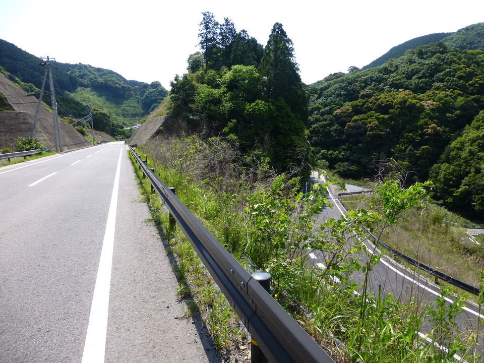 P1050692_mid.jpg