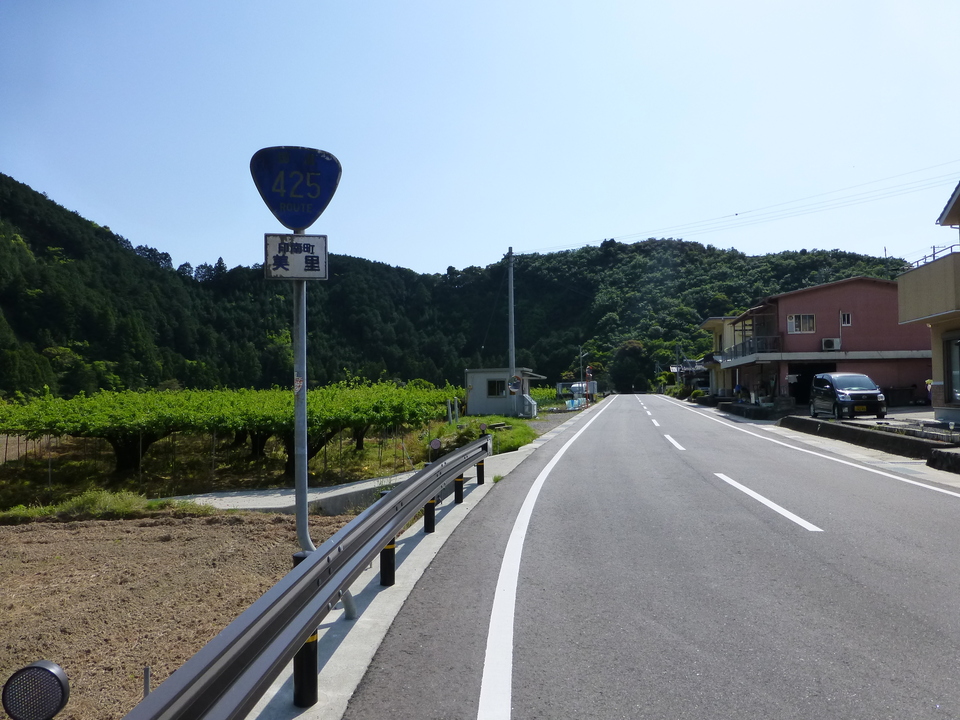 P1050695_mid.jpg
