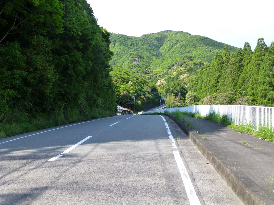 P1050703_mid.jpg