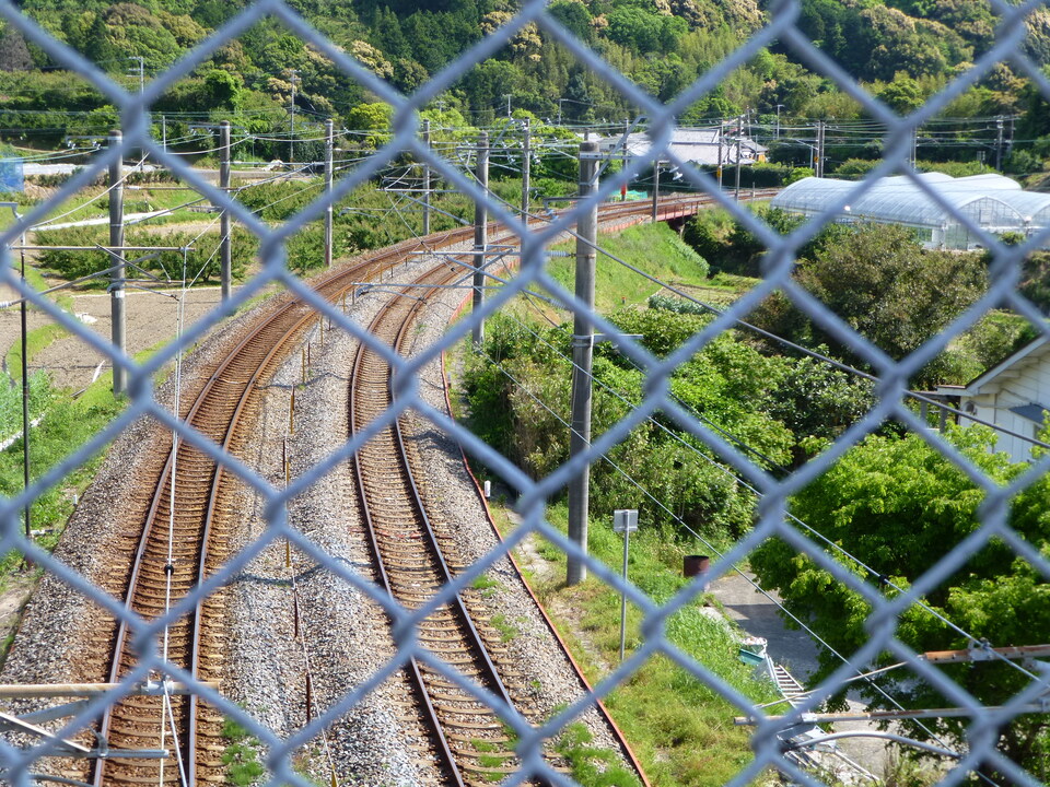 P1050708_mid.jpg