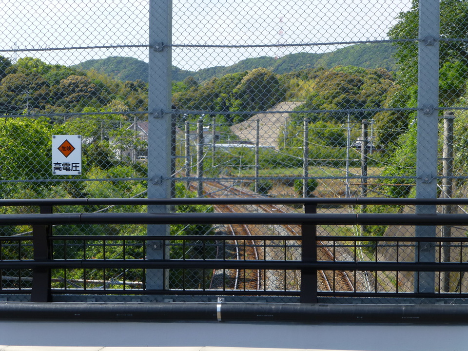 P1050709_mid.jpg