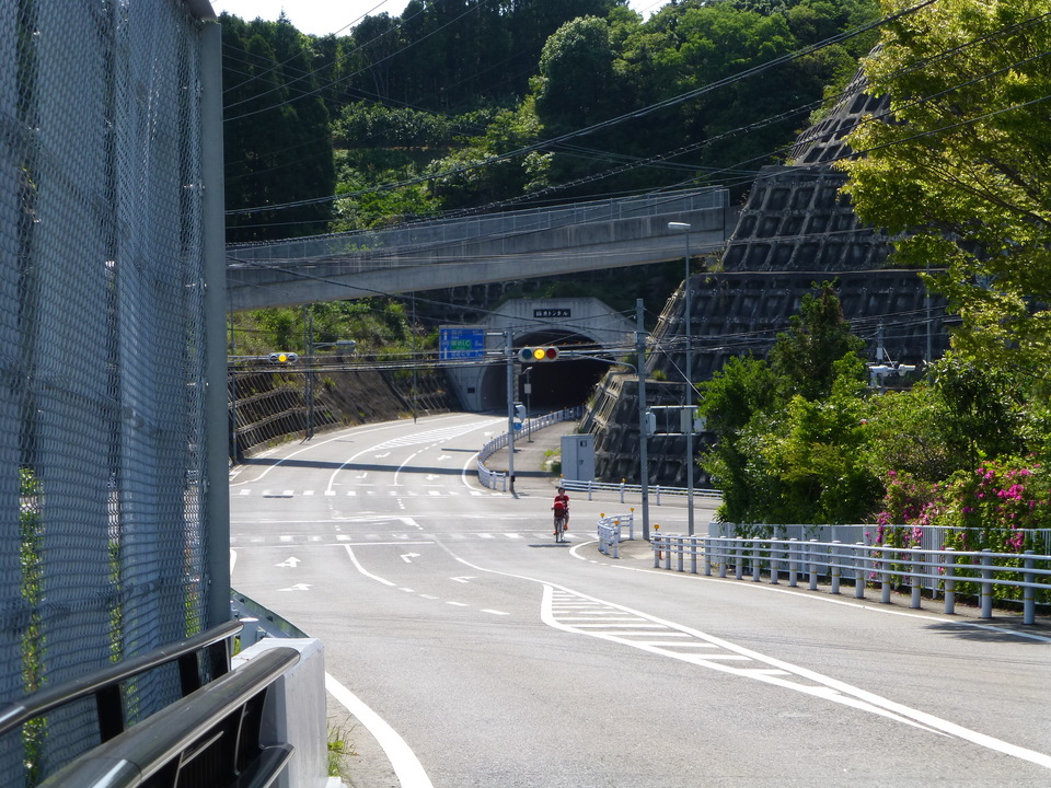 P1050710_mid.jpg