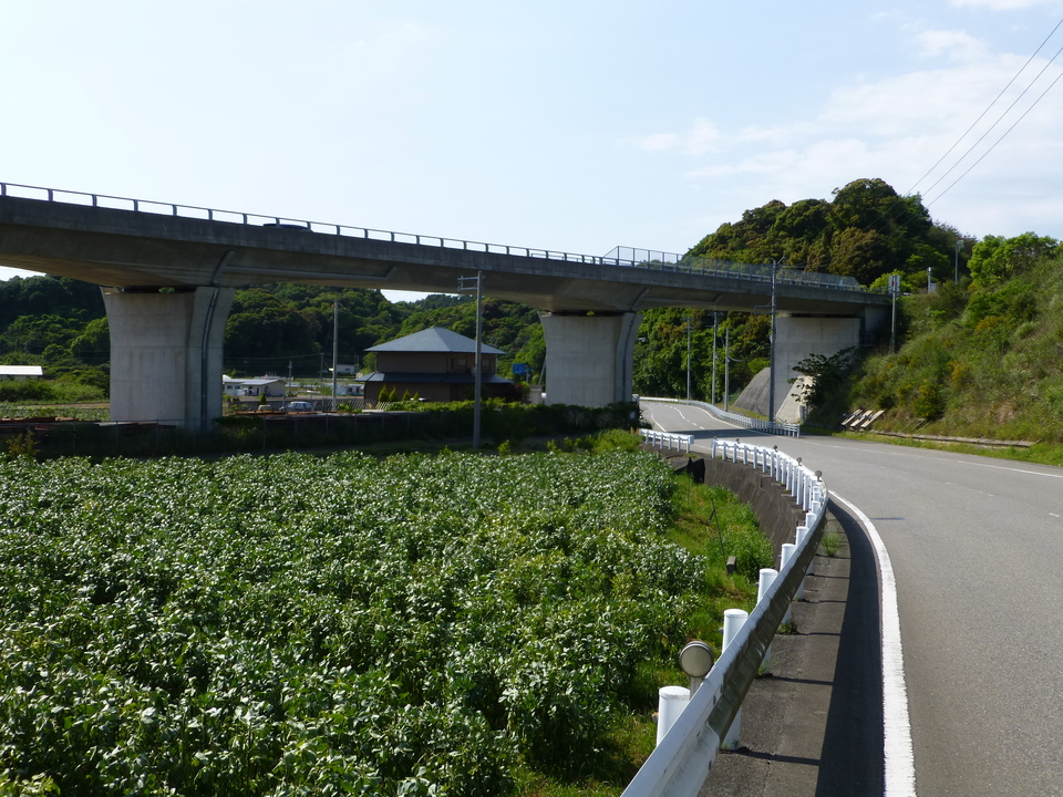 P1050721_mid.jpg