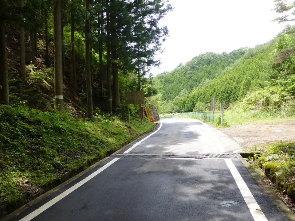 P1050887_mid.jpg