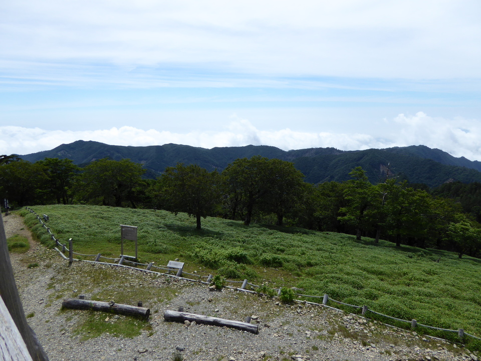 P1020716_mid.jpg