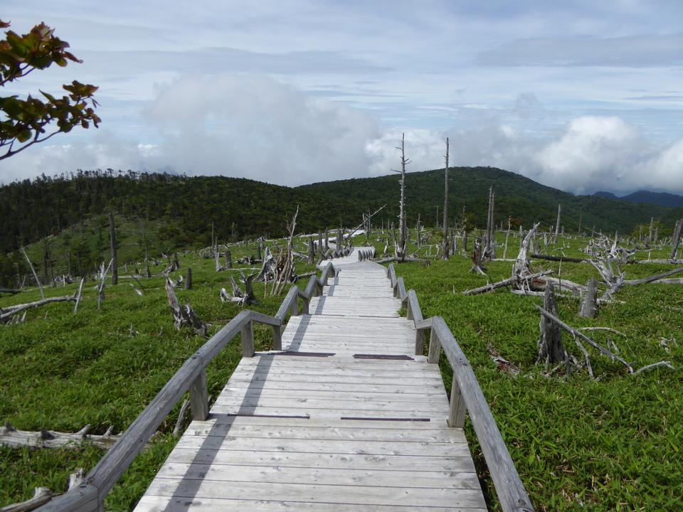 P1020725_mid.jpg