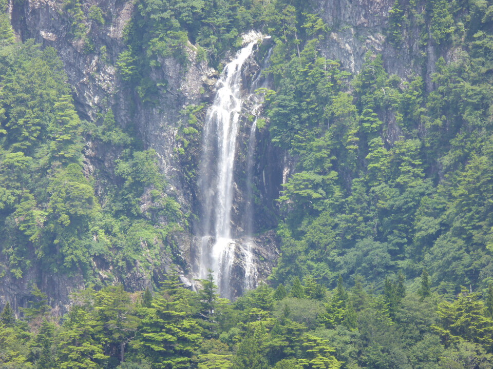 P1020738_mid.jpg