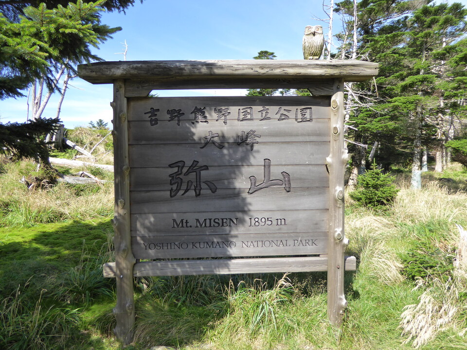 P1030520_mid.jpg