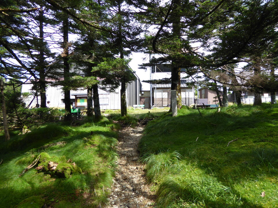 P1030544_mid.jpg