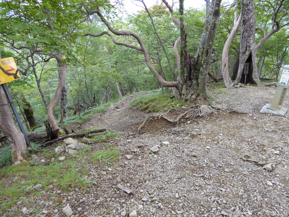 P1030565_mid.jpg