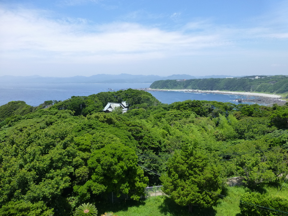 P1070268_mid.jpg