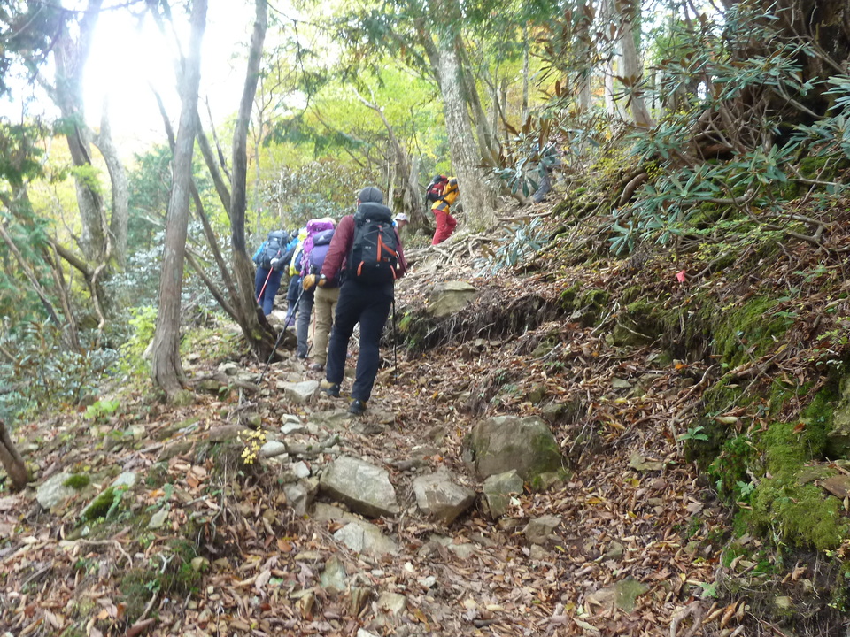 P1180317_mid.jpg