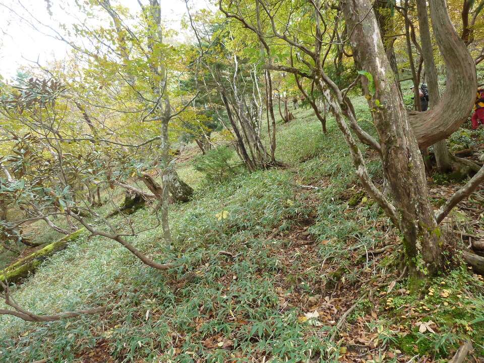 P1180320_mid.jpg