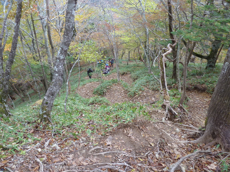 P1180323_mid.jpg