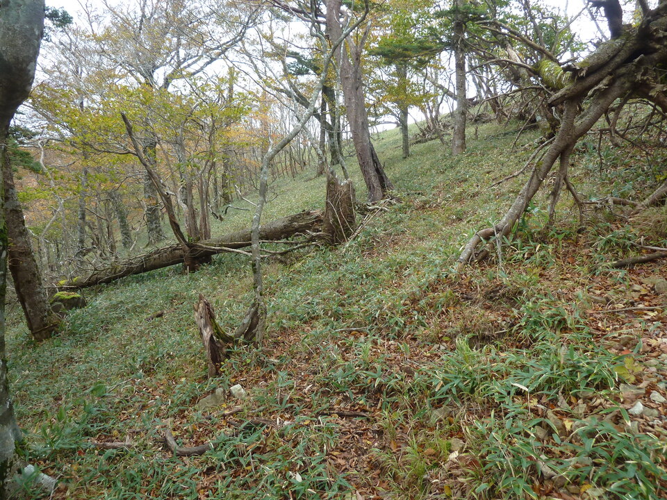 P1180325_mid.jpg