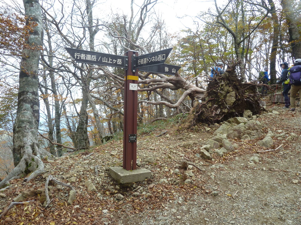 P1180328_mid.jpg