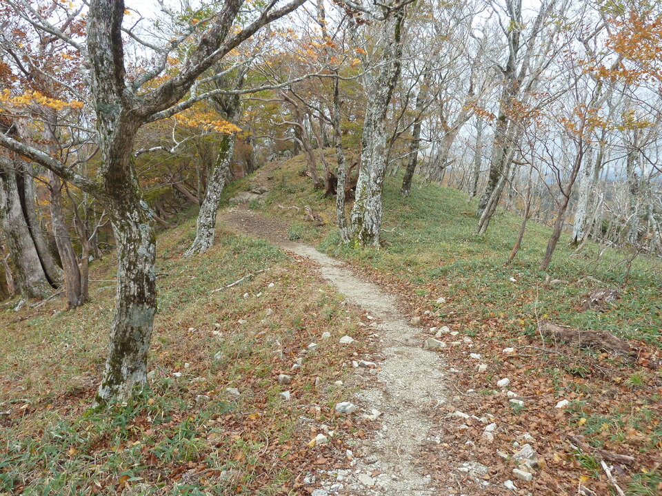 P1180336_mid.jpg