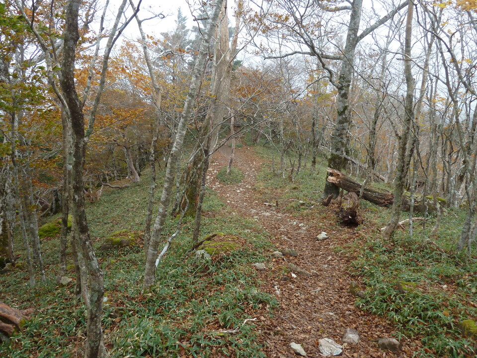 P1180342_mid.jpg