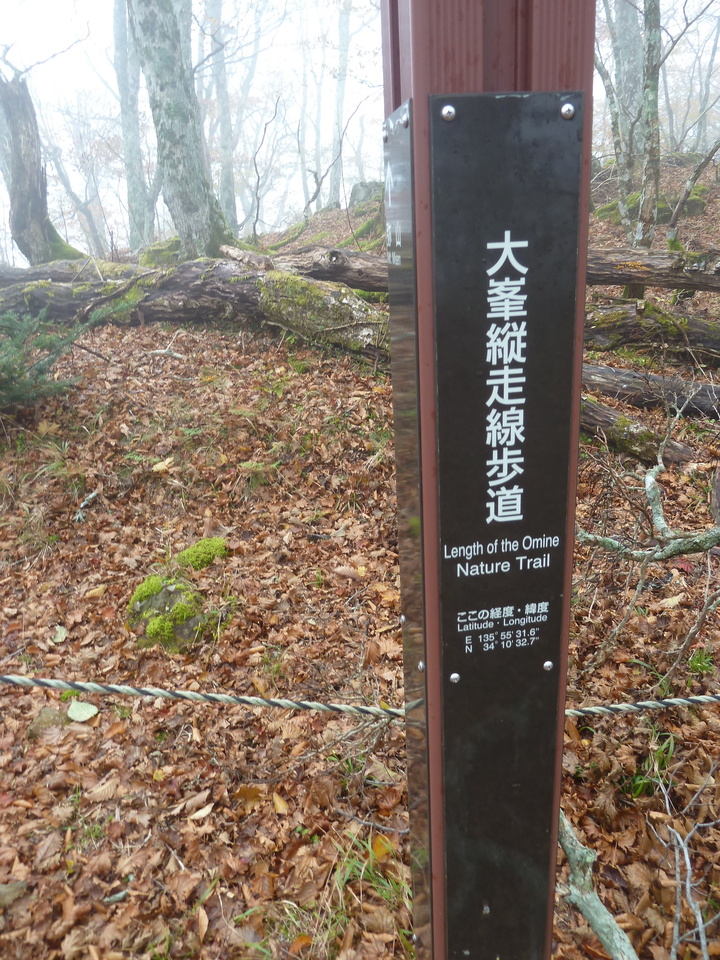 P1180367_mid.jpg