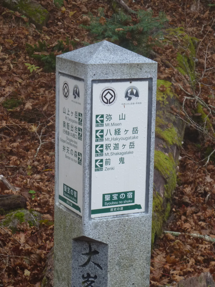 P1180374_mid.jpg