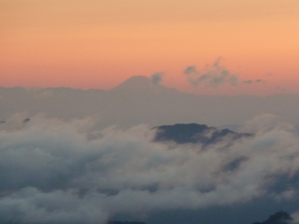 P1180405_mid.jpg