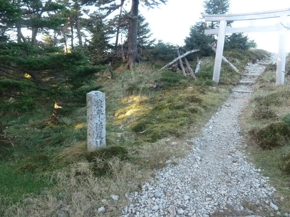 P1180411_mid.jpg