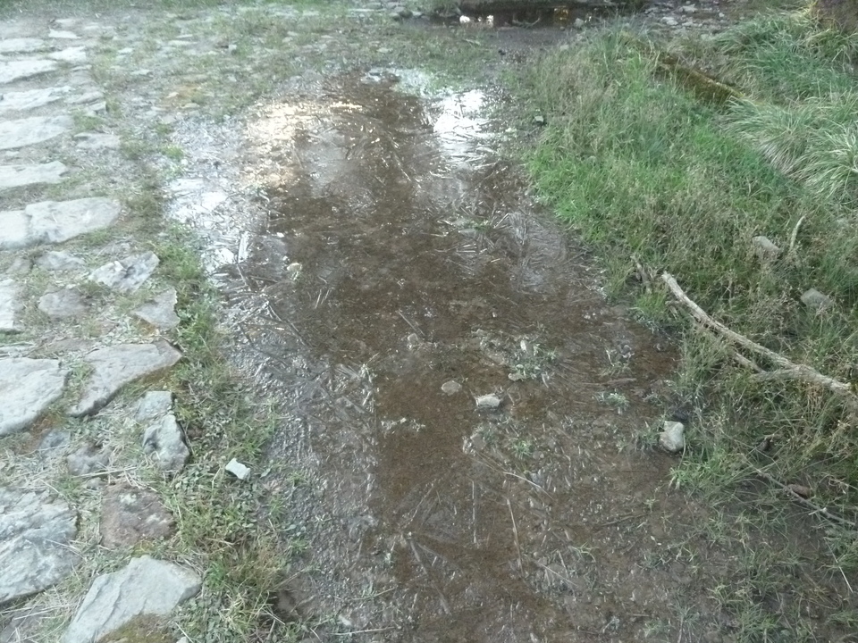P1180412_mid.jpg