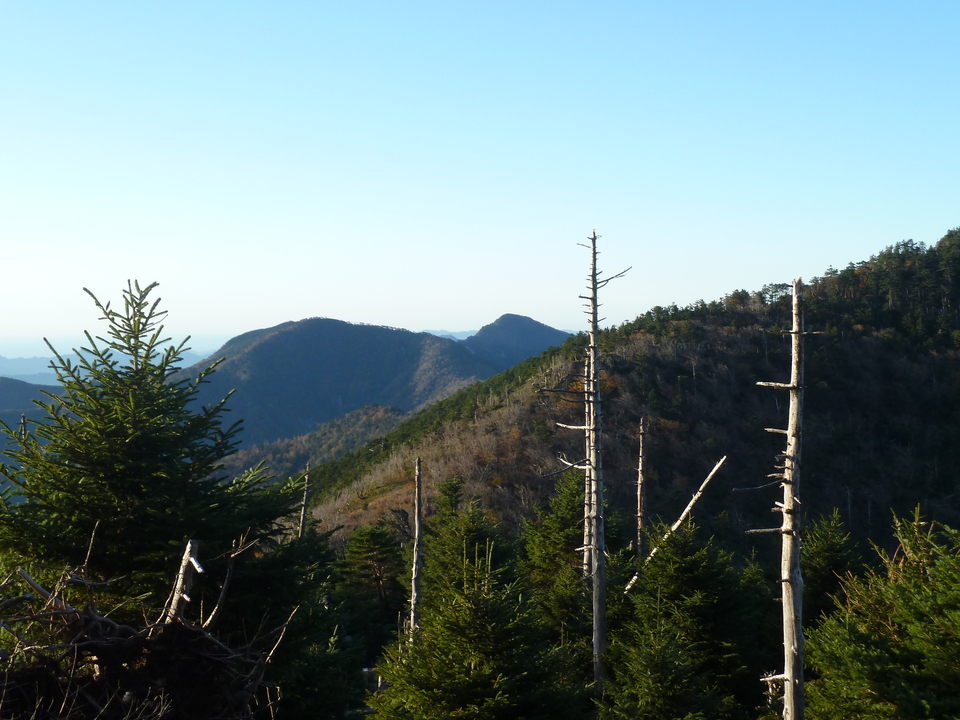 P1180413_mid.jpg
