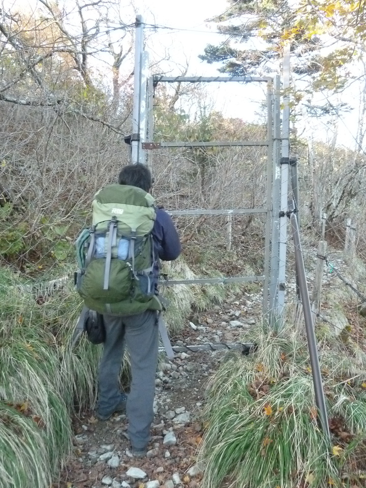 P1180421_mid.jpg