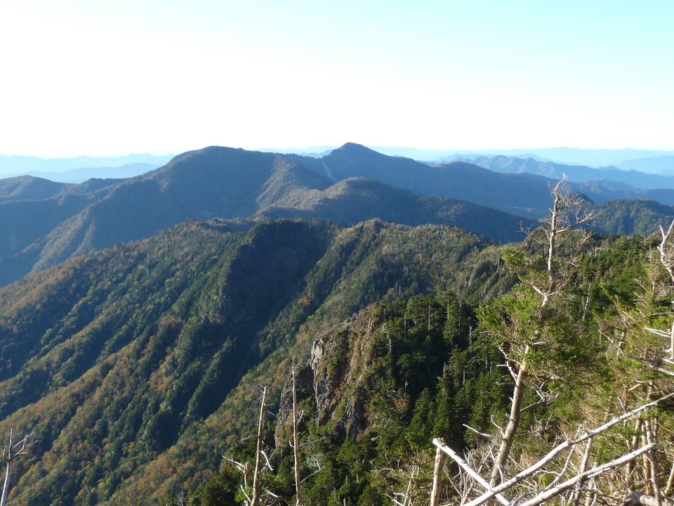 P1180433_mid.jpg