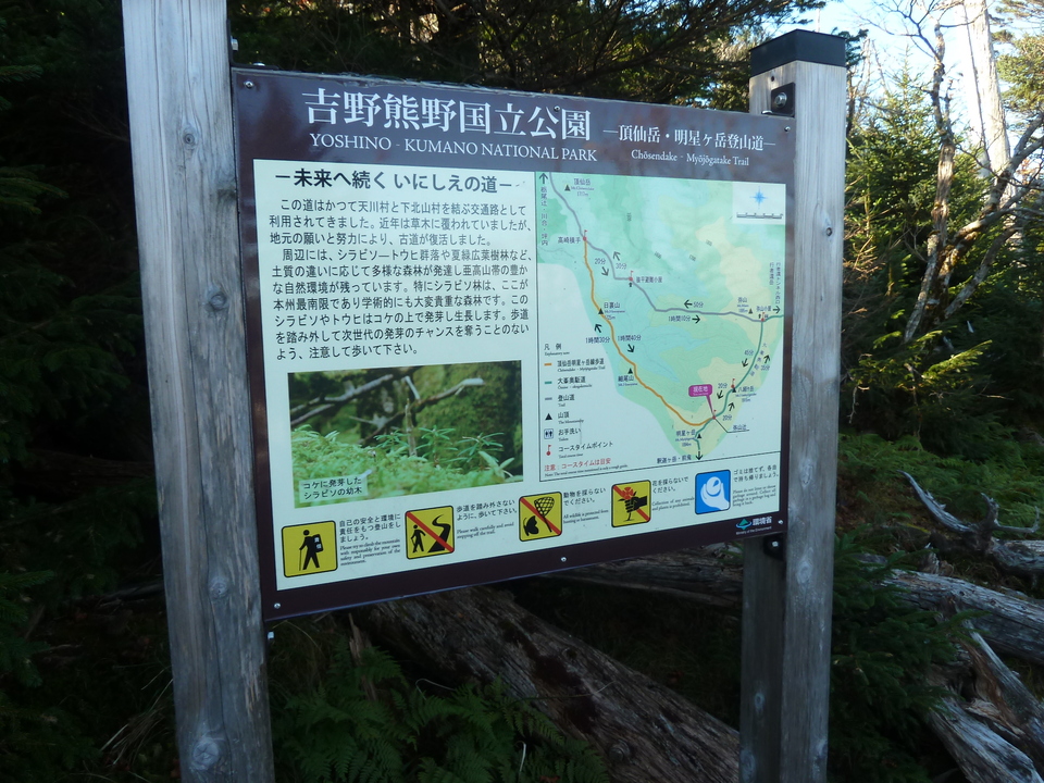 P1180457_mid.jpg