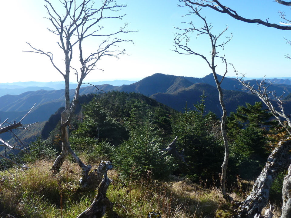 P1180469_mid.jpg