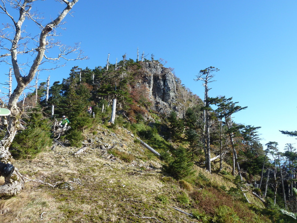 P1180473_mid.jpg