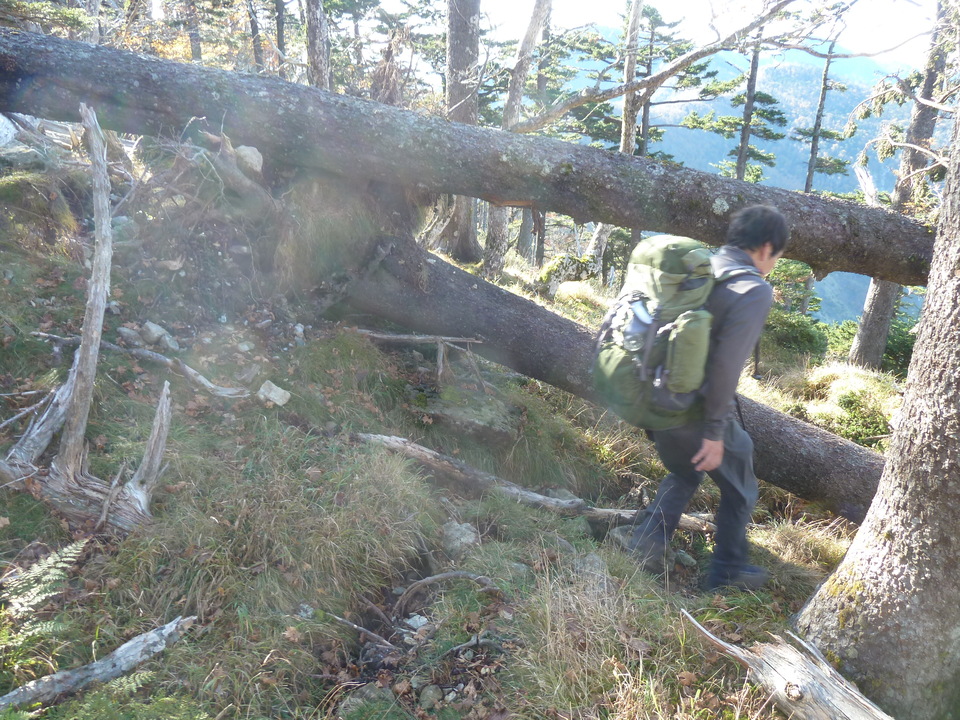 P1180484_mid.jpg