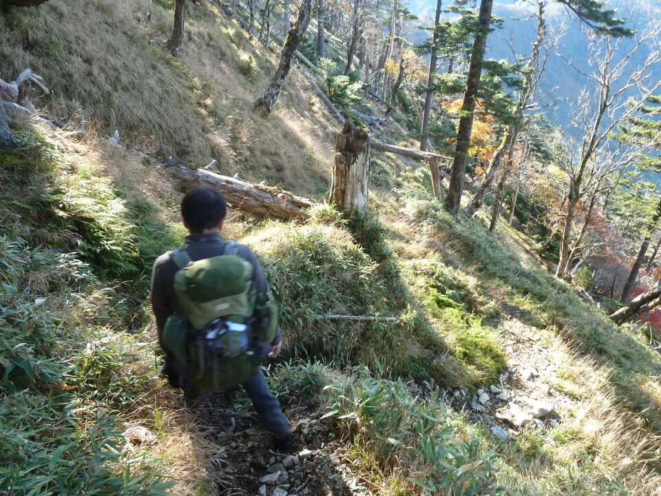 P1180485_mid.jpg